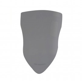 Parabrisas Curtain Elevado Bajaj Rouser As 200 Tonalizado