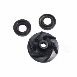 Kit Retenes Bomba de Agua Bajaj Rouser Ns 200 Original