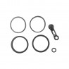 Reparacion Caliper...