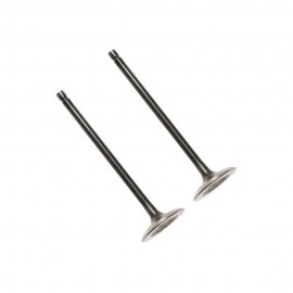 Kit de Valvulas Admision y Escape Bajaj Avenger 220 / Rouser 220 F Original
